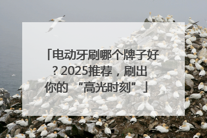 电动牙刷哪个牌子好？2025推荐，刷出你的 “高光时刻”