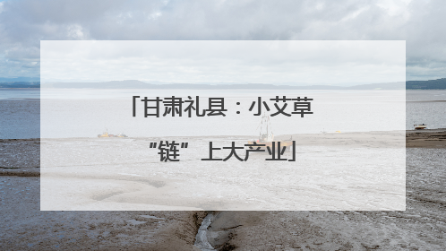甘肃礼县：小艾草“链”上大产业