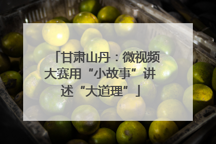甘肃山丹：微视频大赛用“小故事”讲述“大道理”