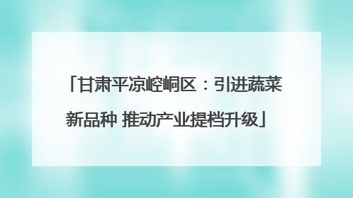 甘肃平凉崆峒区：引进蔬菜新品种 推动产业提档升级