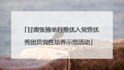 甘肃张掖举行推优入党暨优秀团员党性培养示范活动