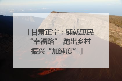 甘肃正宁：铺就惠民“幸福路” 跑出乡村振兴“加速度”