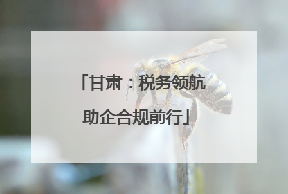 甘肃：税务领航 助企合规前行