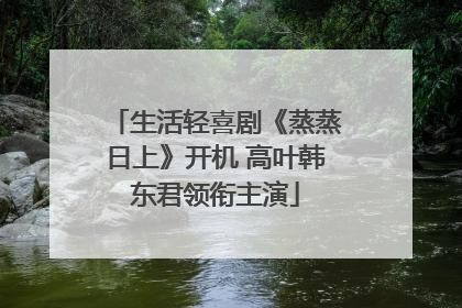 生活轻喜剧《蒸蒸日上》开机 高叶韩东君领衔主演