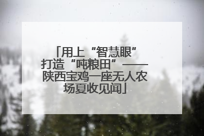 用上“智慧眼” 打造“吨粮田”——陕西宝鸡一座无人农场夏收见闻