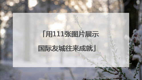 用111张图片展示国际友城往来成就
