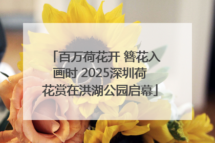 百万荷花开 簪花入画时 2025深圳荷花赏在洪湖公园启幕