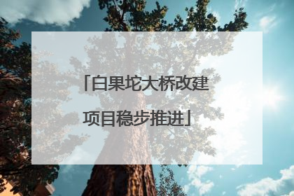 白果坨大桥改建项目稳步推进