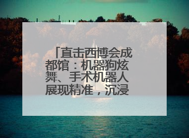 直击西博会成都馆：机器狗炫舞、手术机器人展现精准，沉浸式体验受热捧
