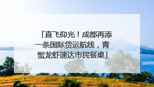 直飞仰光！成都再添一条国际货运航线，青蟹龙虾速达市民餐桌