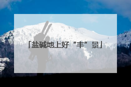 盐碱地上好“丰”景