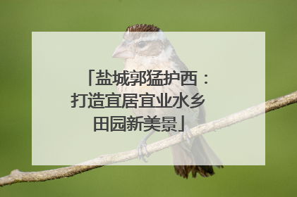 盐城郭猛护西：打造宜居宜业水乡田园新美景