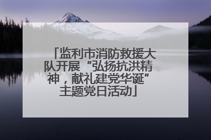 监利市消防救援大队开展“弘扬抗洪精神，献礼建党华诞”主题党日活动