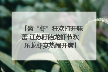盛“虾”狂欢打开味蕾 江苏盱眙龙虾节欢乐龙虾宴热闹开席