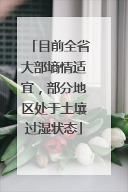 目前全省大部墒情适宜，部分地区处于土壤过湿状态