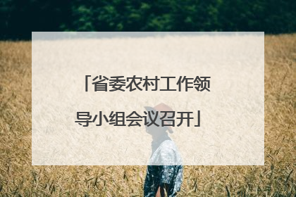 省委农村工作领导小组会议召开