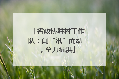 省政协驻村工作队：闻“汛”而动，全力抗洪