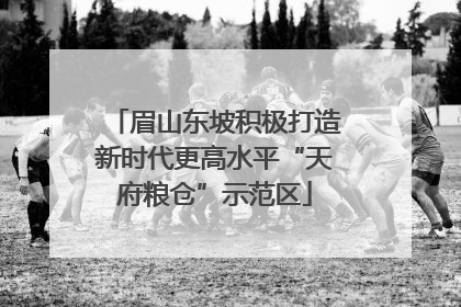 眉山东坡积极打造新时代更高水平“天府粮仓”示范区