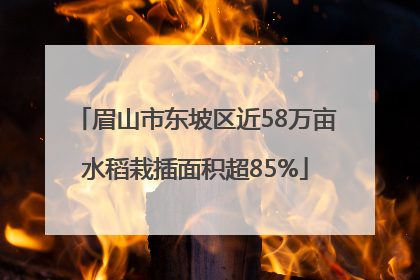 眉山市东坡区近58万亩水稻栽插面积超85%