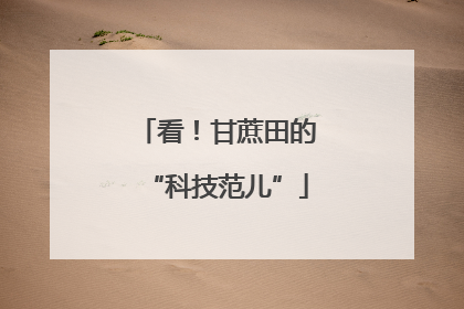 看！甘蔗田的“科技范儿”