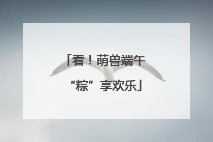 看！萌兽端午“粽”享欢乐