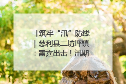 筑牢“汛”防线｜慈利县二坊坪镇：雷霆出击！汛期捕鱼被紧急叫停