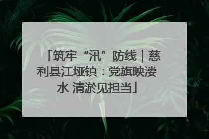 筑牢“汛”防线｜慈利县江垭镇：党旗映溇水 清淤见担当