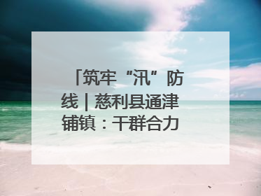 筑牢“汛”防线｜慈利县通津铺镇：干群合力抗击洪灾
