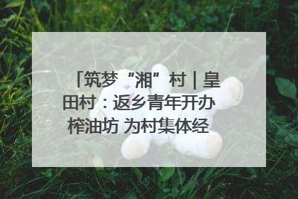 筑梦“湘”村｜皇田村：返乡青年开办榨油坊 为村集体经济“加油”