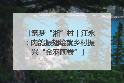 筑梦“湘”村｜江永：肉鸽振翅绘就乡村振兴“金羽画卷”