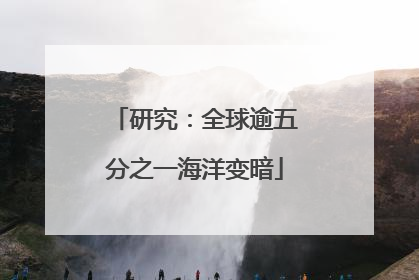 研究：全球逾五分之一海洋变暗