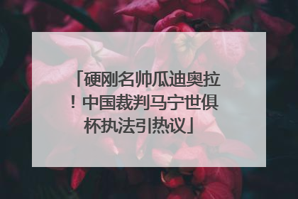 硬刚名帅瓜迪奥拉！中国裁判马宁世俱杯执法引热议