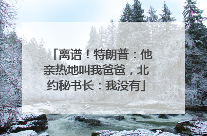 离谱！特朗普：他亲热地叫我爸爸，北约秘书长：我没有