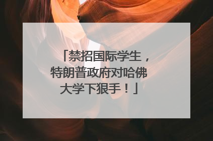禁招国际学生，特朗普政府对哈佛大学下狠手！