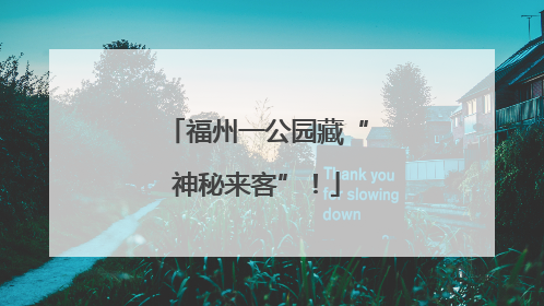 福州一公园藏“神秘来客”！