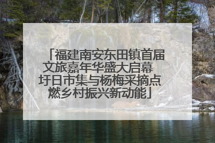 福建南安东田镇首届文旅嘉年华盛大启幕 圩日市集与杨梅采摘点燃乡村振兴新动能