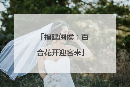 福建闽侯：百合花开迎客来