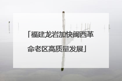 福建龙岩加快闽西革命老区高质量发展