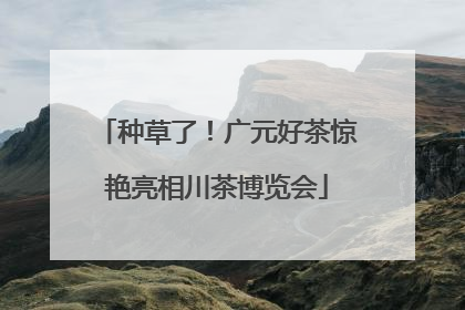 种草了！广元好茶惊艳亮相川茶博览会