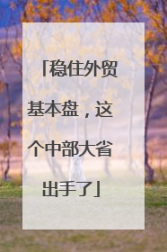 稳住外贸基本盘，这个中部大省出手了