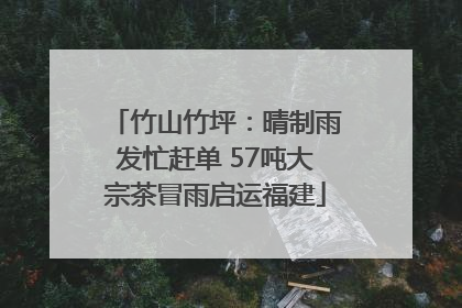 竹山竹坪：晴制雨发忙赶单 57吨大宗茶冒雨启运福建