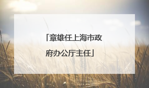 章雄任上海市政府办公厅主任
