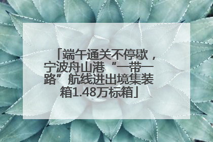 端午通关不停歇，宁波舟山港“一带一路”航线进出境集装箱1.48万标箱