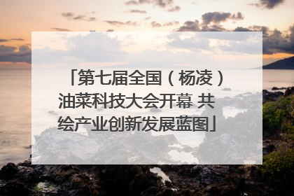 第七届全国（杨凌）油菜科技大会开幕 共绘产业创新发展蓝图