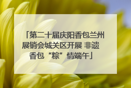 第二十届庆阳香包兰州展销会城关区开展 非遗香包“粽”情端午