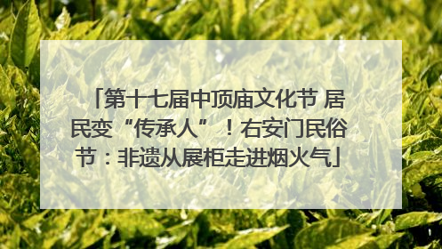 第十七届中顶庙文化节 居民变“传承人”！右安门民俗节：非遗从展柜走进烟火气