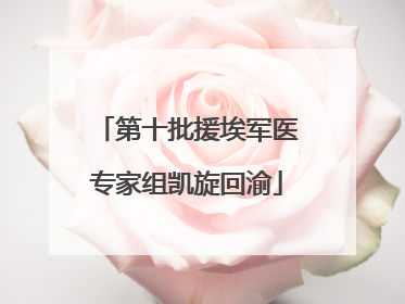 第十批援埃军医专家组凯旋回渝