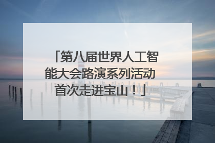 第八届世界人工智能大会路演系列活动首次走进宝山！
