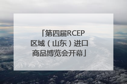 第四届RCEP区域（山东）进口商品博览会开幕