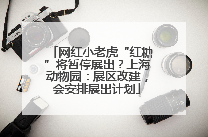 网红小老虎“红糖”将暂停展出？上海动物园：展区改建，会安排展出计划